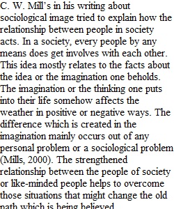 Applying the Sociological Imagination Essay